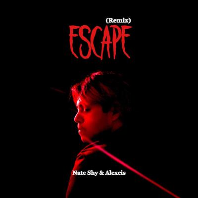 ESCAPE (Remix)'s cover