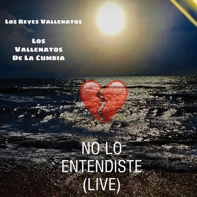 No Lo Entendiste (Live)'s cover