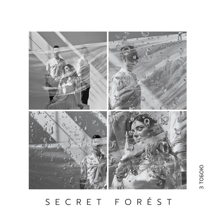 Secret Forest's avatar image