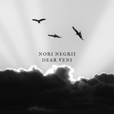 Nori negrii dear veni's cover