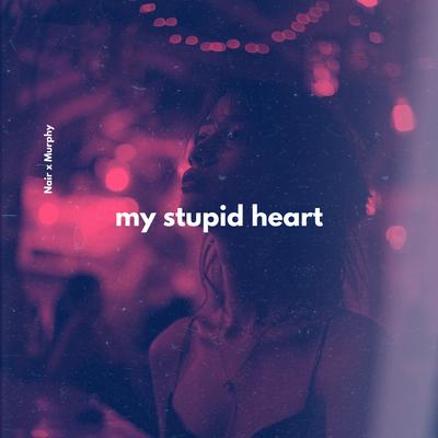 My Stupid Heart By Nair, Murphy's cover