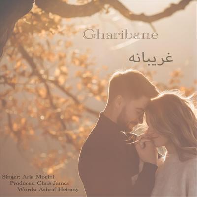 Gharibane's cover