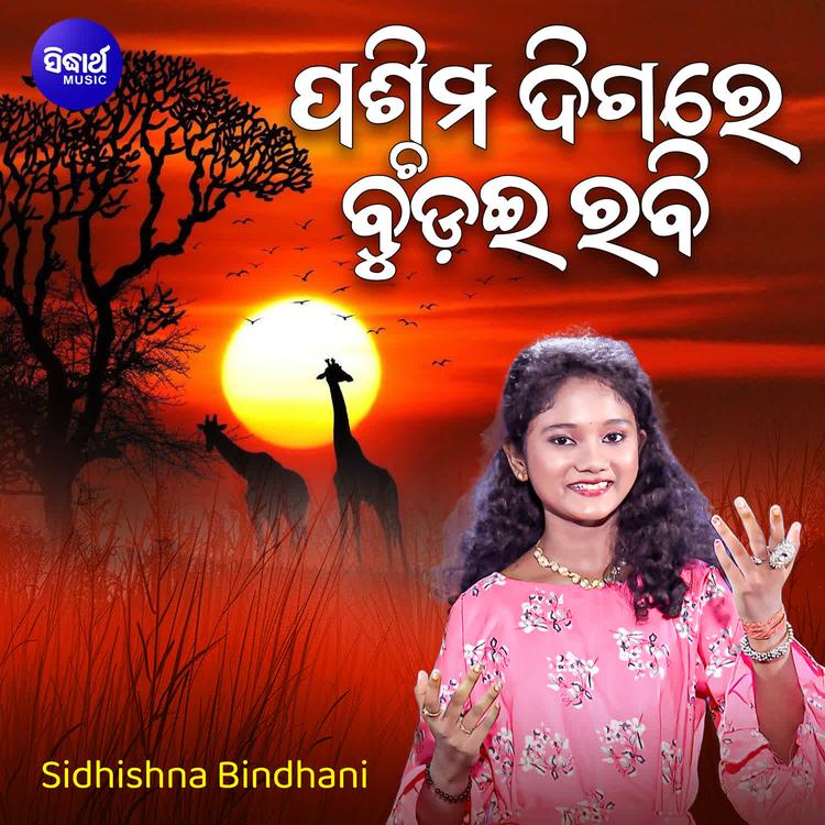 Sidhishna Bindhani's avatar image