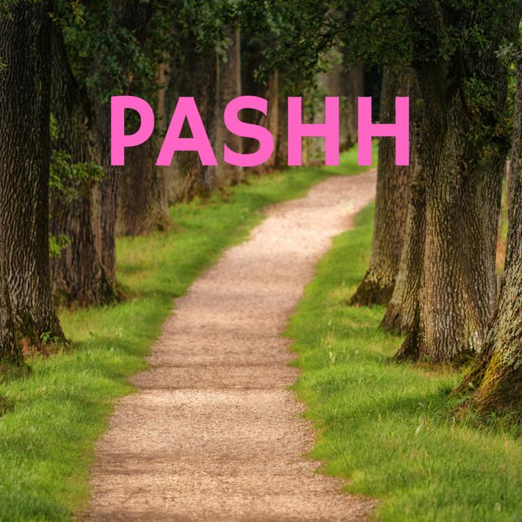 Pashh's avatar image