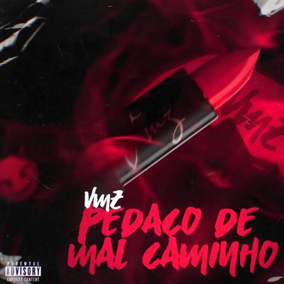 Pedaço de mal caminho By VMZ's cover