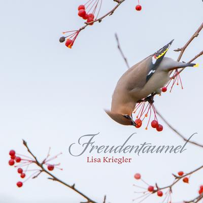 Freudentaumel By Lisa Kriegler's cover