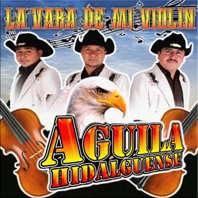 La Vara de Mi Violín's cover