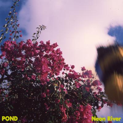 Neon River's cover