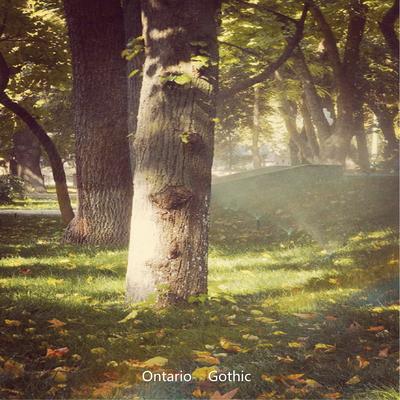 Ontario Gothic's cover