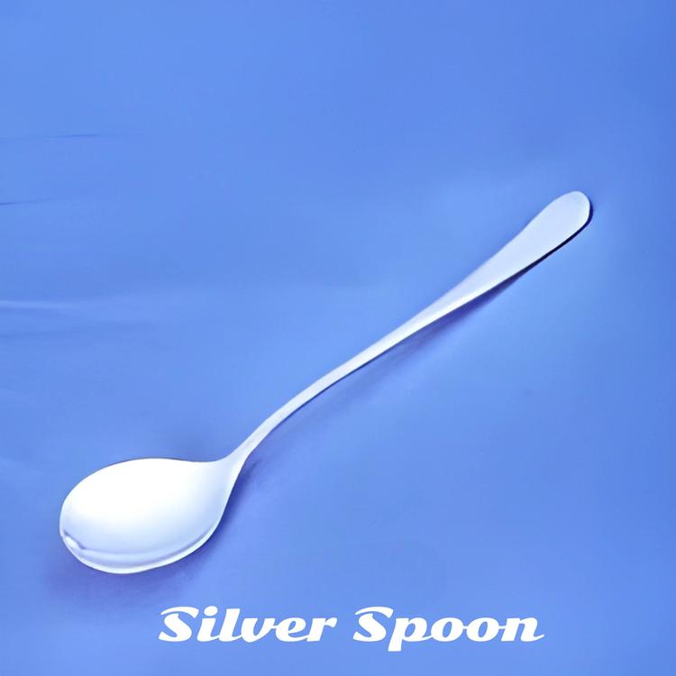 Silver Spoon's avatar image