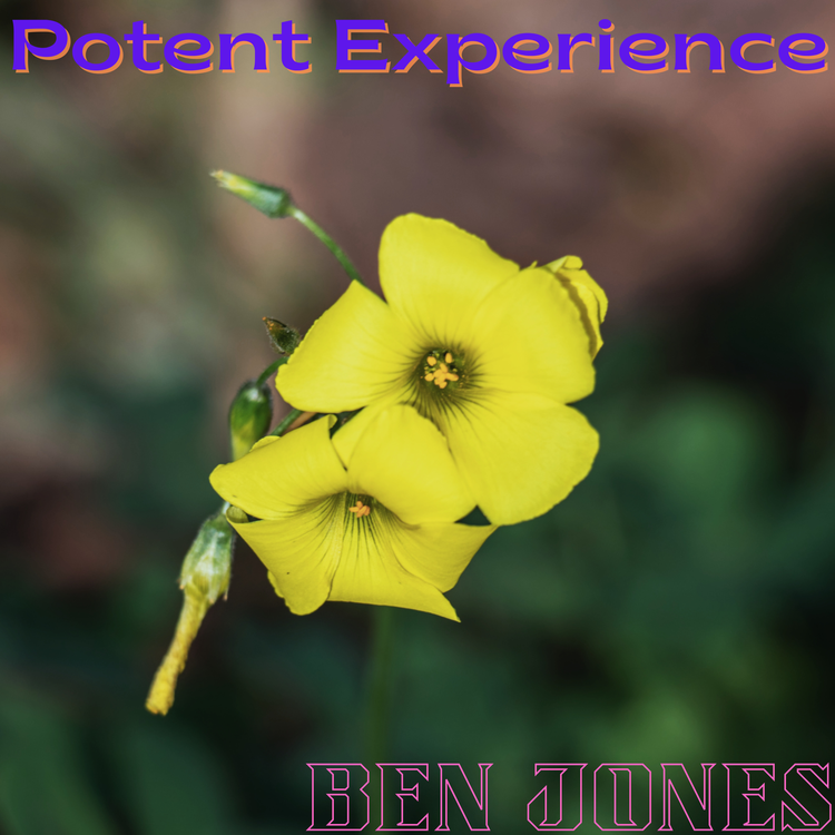 Ben Jones's avatar image