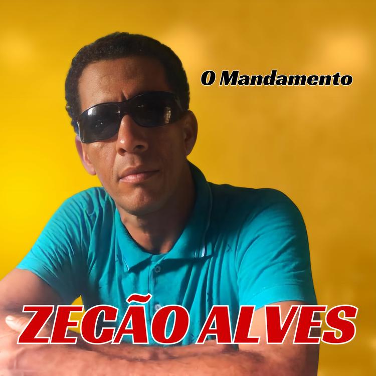 Zecão Alves's avatar image