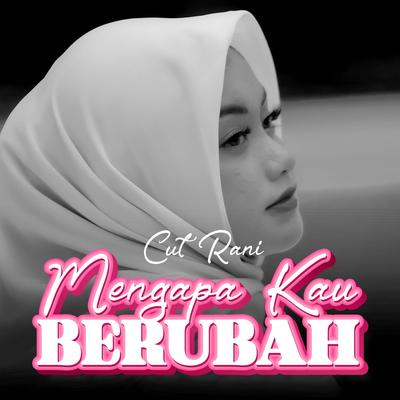 Mengapa Kau Berubah's cover