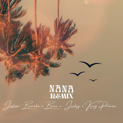 NANA (feat. Joeboy, King Promise & BIEN) (Remix)'s cover