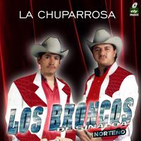 Los Broncos De Sinaloa's avatar cover