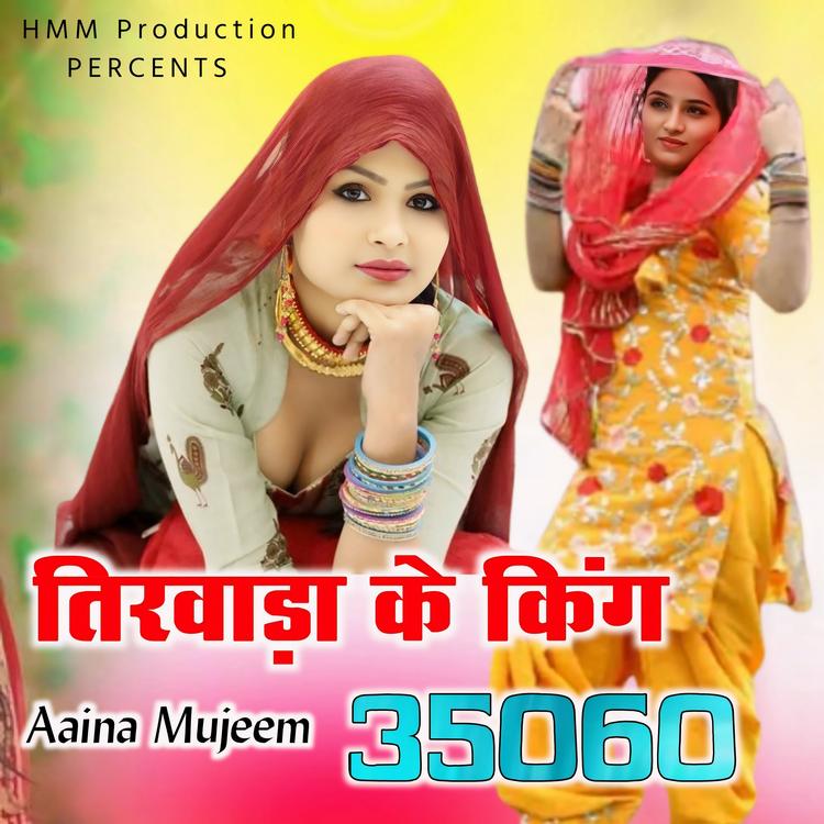 Aaina Mujeem's avatar image