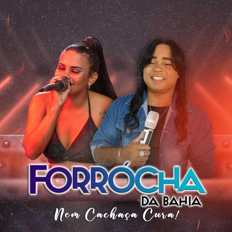 Forrócha da Bahia's avatar image