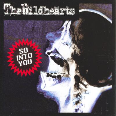 So Into You By Wildhearts's cover