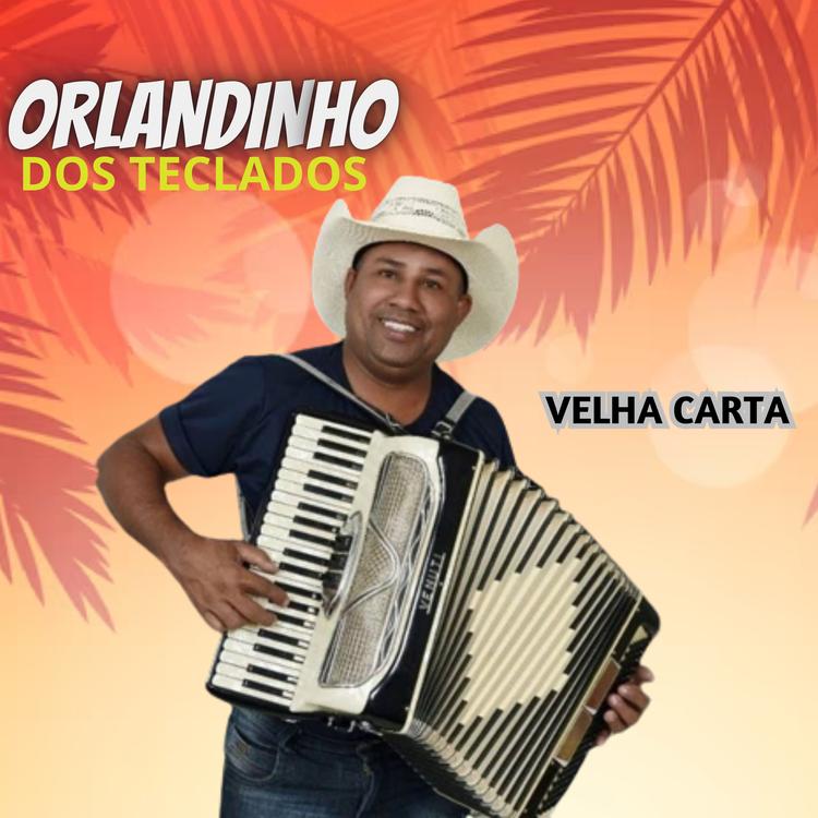 ORLANDINHO DO FORRO's avatar image