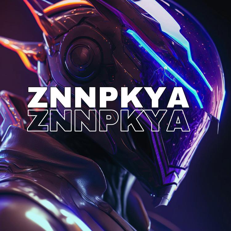 ZNNPKYA's avatar image