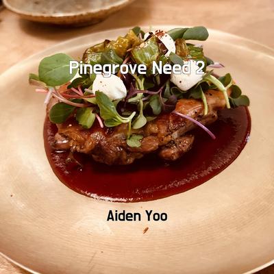 Pinegrove Need 2 By Aiden Yoo's cover