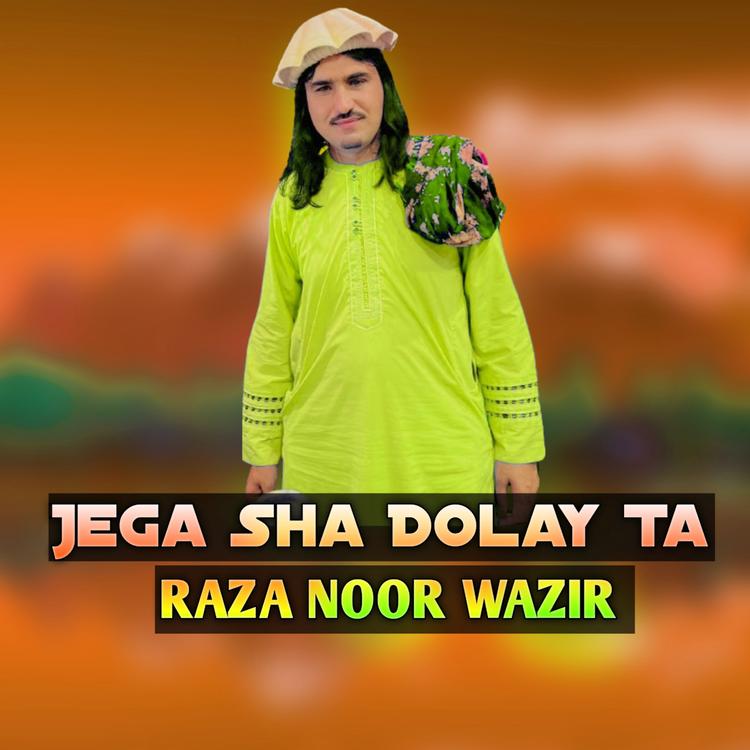 Raza Noor Wazir's avatar image