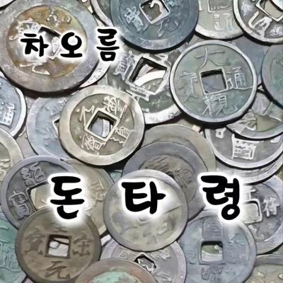 차오름's cover