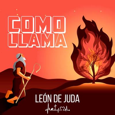 Como Llama's cover