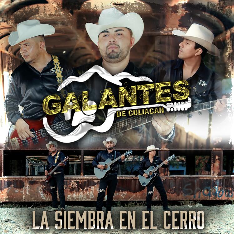 Galantes de culiacan's avatar image