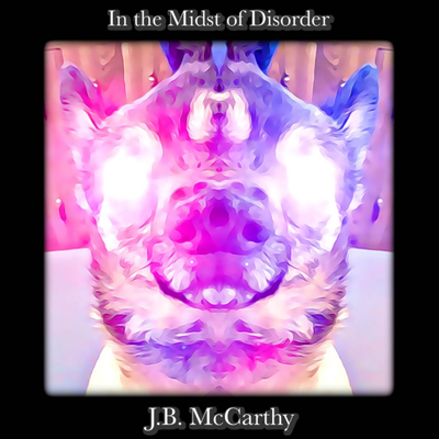 In the Midst of Disorder's cover