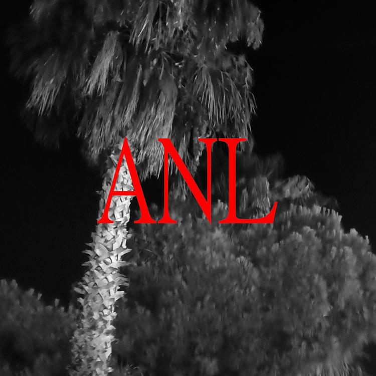 ANL's avatar image