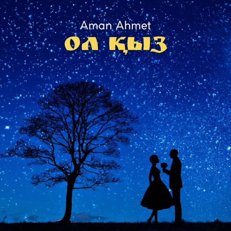 Aman Ahmet's avatar image