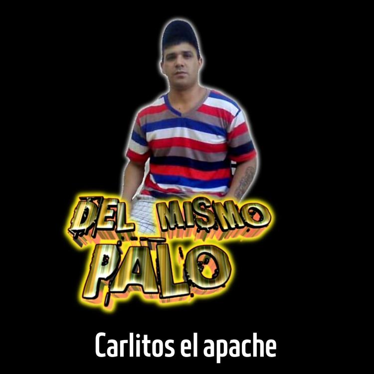 Del mismo palo's avatar image