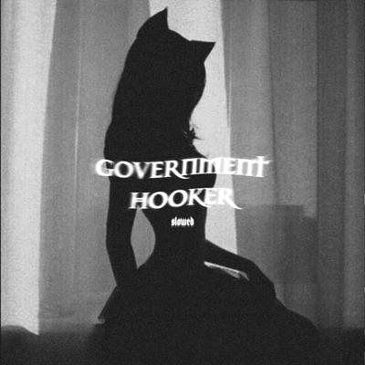 Government Hooker (Slowed)'s cover