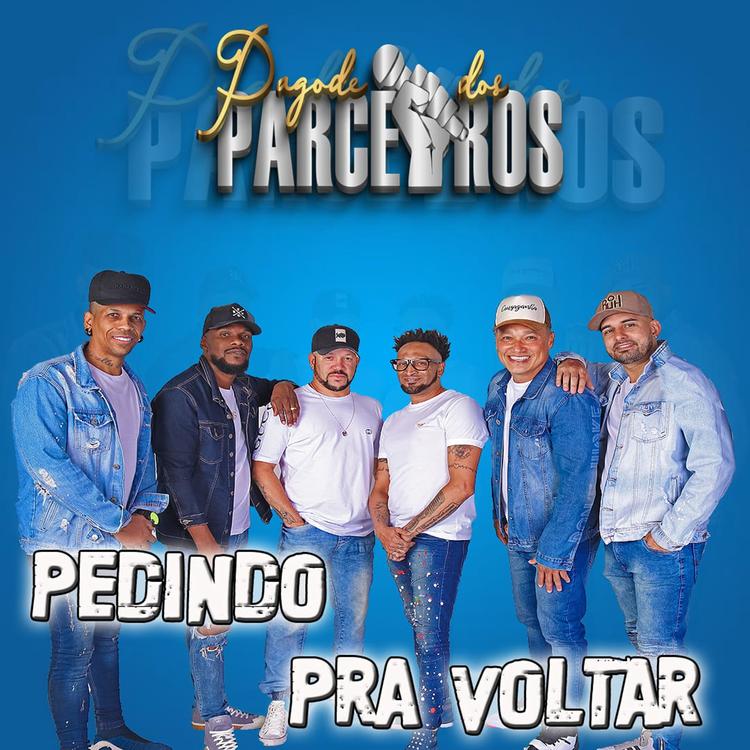 Pagode dos Parceiros's avatar image