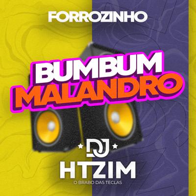 Bumbum Malandro Forrozinho By Dj Htzim's cover