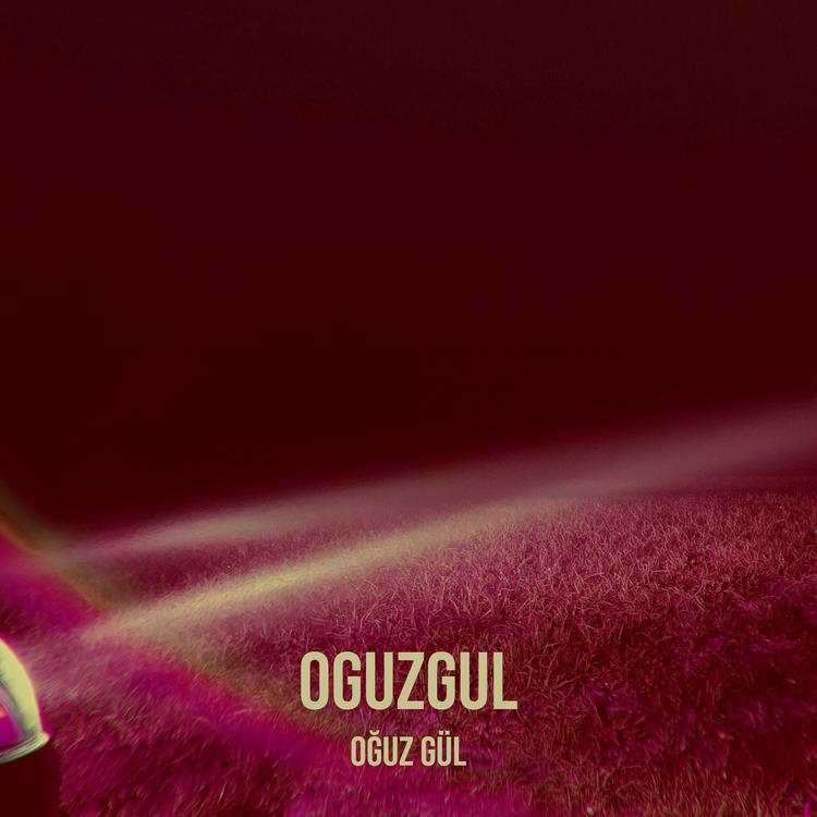 Oğuz GÜL's avatar image