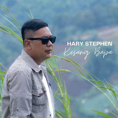 Hary Stephen's cover