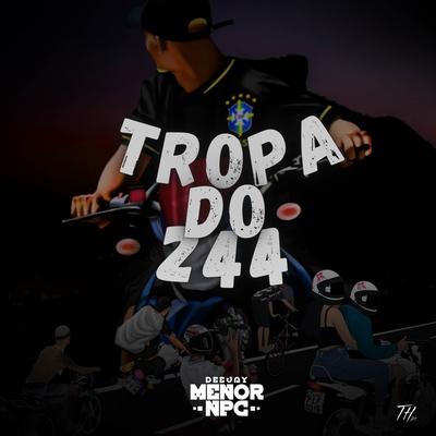 TROPA DO 244 ELA É MARIA 244 (REMIX)'s cover