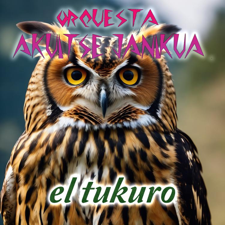 Orquesta Akuitse Janikua's avatar image