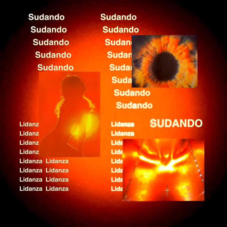 Lidanza's avatar image
