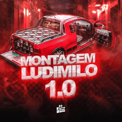 MONTAGEM LUDIMILO 1.0's cover