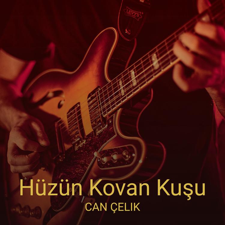 Can Çelik's avatar image