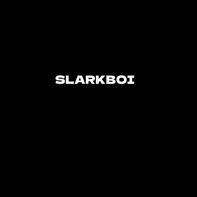 SLARKBOI MUSIC's avatar image