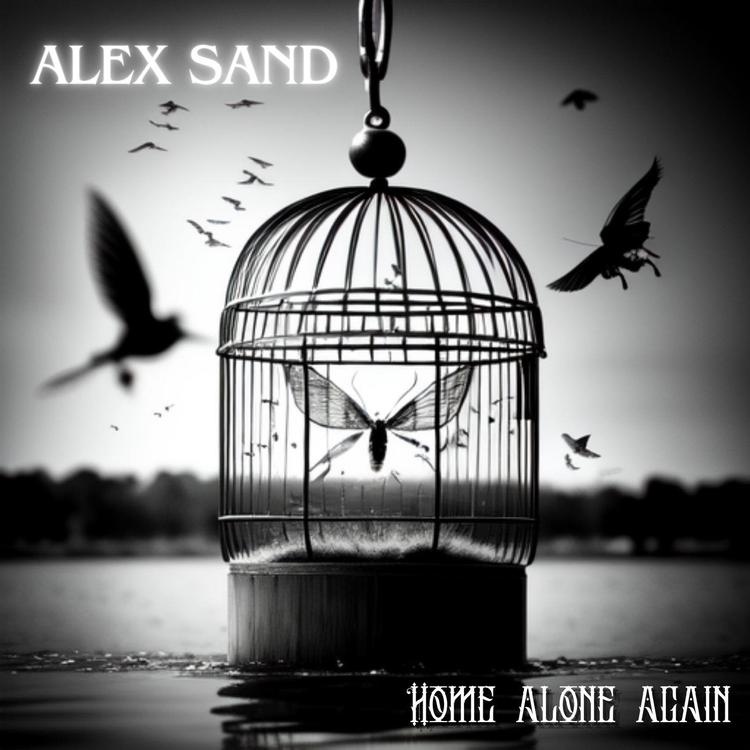 Alex Sand's avatar image