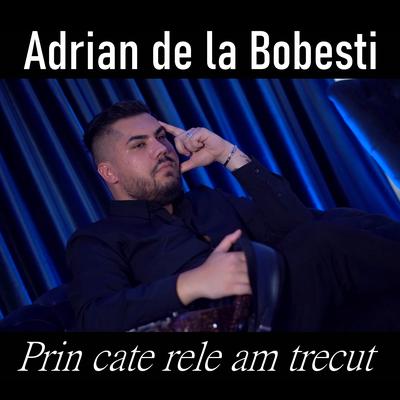 Adrian de la Bobesti's cover