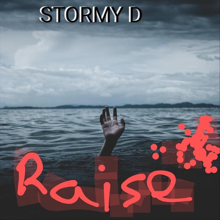 Stormy D's avatar image