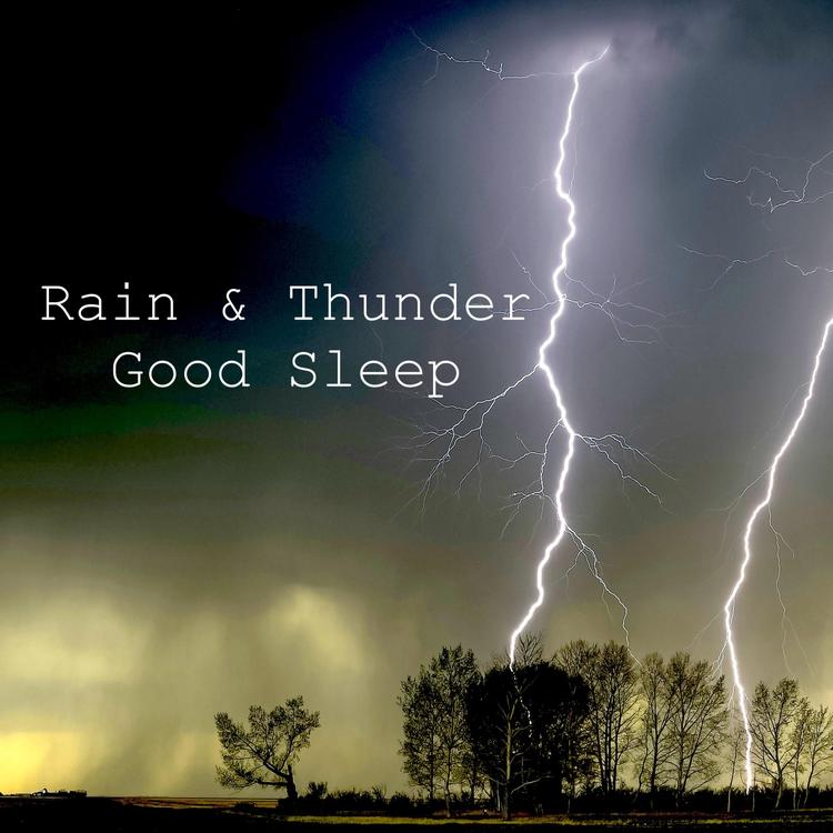 Rain & Thunder Good Sleep's avatar image