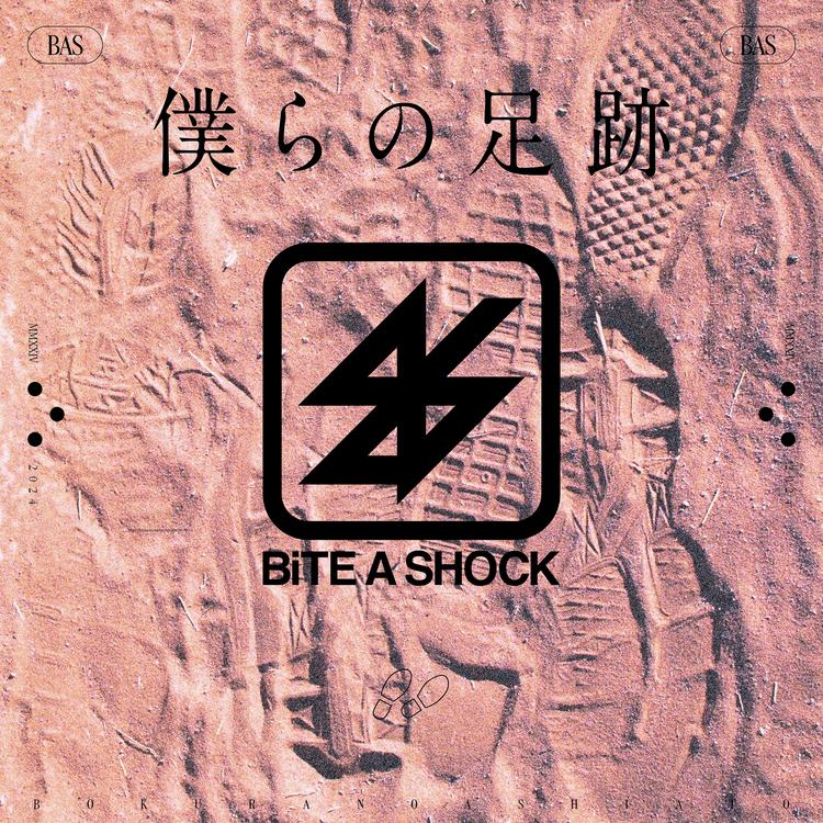 BiTE A SHOCK's avatar image