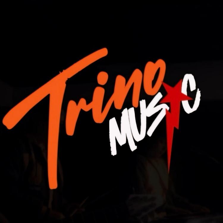 Trino Music's avatar image